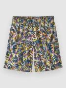 Patagonia Baggies 7 In. - Lined Kids Shorts wild botanist/tidal teal