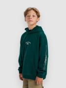 Quiksilver Stretch Tribal Kids Hoodie botanical garden