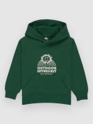 Quiksilver Graphic Kids Hoodie trekking green