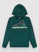 DC Slathletic Kids Hoodie ponderosa pine