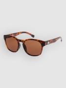 Quiksilver Time Box Shiny Tortoise Solglasögon brown