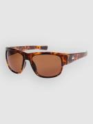 Quiksilver Time Box Shiny Tortoise Solglasögon brown