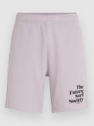 O'Neill Future Surf Society Shorts iris