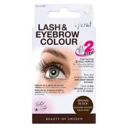 Depend Lash and Eyebrow Colour Brown Black