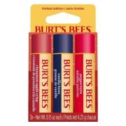 Burts Bees Winter Wonders Lip Balm Gift Set