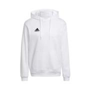 Adidas Herr Entrada 22 Sweatshirt White, Herr