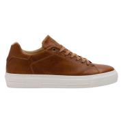 JoDis Klassisk Cognac Sneaker Brown, Herr