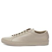 Common Projects Låga Taupe Sneakers Beige, Herr