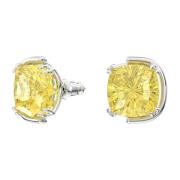 Swarovski Harmonia Gula Kristallörhängen Yellow, Dam