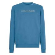 Calvin Klein Hoodie Blue, Herr