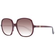 Max Mara Burgundy Dam Solglasögon Gradient Linser Brown, Dam