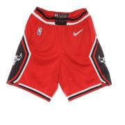 Nike Chicago Bulls Basketshorts Multicolor, Herr