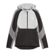 Puma Evostripe Full-zip Hoodie Gray, Herr