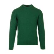 Daniele Fiesoli Stiliga Sweaters Kollektion Green, Herr