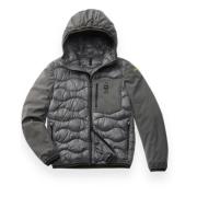 Blauer Albert Puffer Jacket Gray, Herr