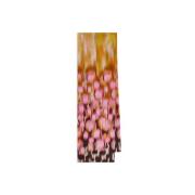 Maliparmi Collection Prints 70X200 Stole Multicolor, Dam