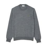 Lacoste Grå Textil Jersey för Män Gray, Herr