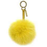 Fendi Vintage Pre-owned Paels nyckelhllare Yellow, Unisex