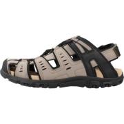 Geox Flat Sandals Brown, Herr