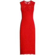 Dolce & Gabbana Röd Spets Midi Klänning Red, Dam