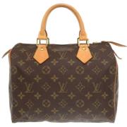 Louis Vuitton Vintage Pre-owned Canvas handvskor Brown, Dam