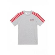 Adidas Originals Adicolor Adibreak Bomull T-shirt Gray, Herr