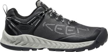 Keen Men's Nxis Evo Waterproof Magnet-Vapor