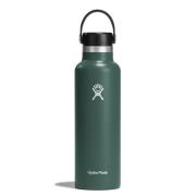 Hydro Flask Standard Mouth Flex 621 ml Fir