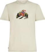 Icebreaker Men's Mer 150 Tech Lite Shortsleeve Tee Catch
