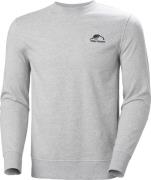 Helly Hansen Men's Nord Graphic Crew Sweater Grey Melang