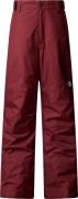 The North Face Boys' Freedom Insulated Pant Sumac