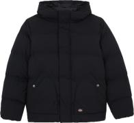 Dickies Men's Eagleville Hooded Puffer Black