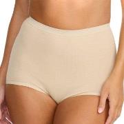 Damella Trosor Classic Cotton Maxi Brief Puder bomull Small Dam