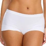 Damella Trosor Classic Microfiber Maxi Brief Vit Small Dam