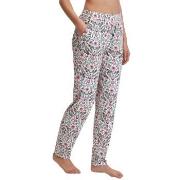 Calida Favourites Lavender Ljuslila bomull Small Dam