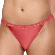 Triumph Trosor Crazy Stupid Love Highleg Tai Röd 38 Dam