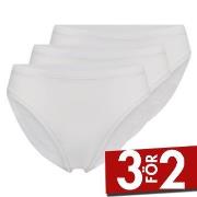 Decoy Trosor 3P Bamboo Tai Vit Small Dam