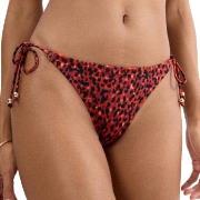 Triumph Midnight Swim Brazilian Bikini Bottom Röd/svart 38 Dam