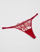 Bluebella - Rosa - Rosalie Thong