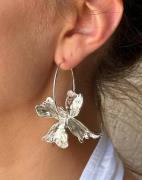 Pilgrim - Silver - DREAM Hoops