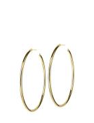 Edblad Hoops Earrings Large Guld