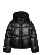 Lindex Jacket Puffer Svart