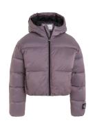 Hyper Two T Padded Bomber Fodrad Jacka Purple Calvin Klein