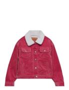 Levi's Levi's® Baggy Corduroy Trucker Jacket Rosa