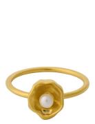 Hidden Pearl Ring Ring Smycken Gold Pernille Corydon