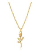 Men's Rose Pendant Necklace 3Mm Chain Halsband Smycken Gold Nialaya