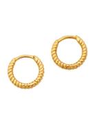 Syster P Beloved Twisted Small Hoops Guld