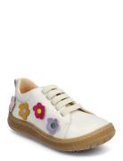 Shoes - Flat - With Lace Låga Sneakers Cream ANGULUS