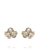 Caroline Svedbom Ana Earrings Gold Guld