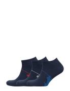 Polo Ralph Lauren Underwear Big Pony Sock 3-Pack Blå